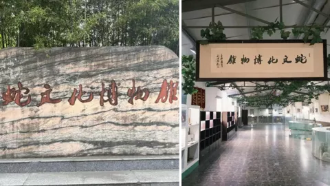 中国第一蛇村
