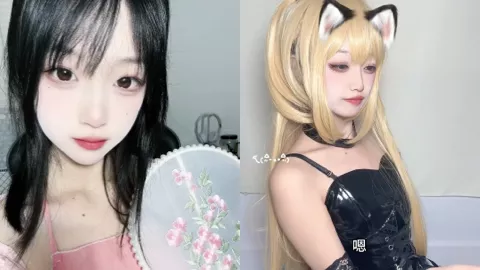 神探狸狸