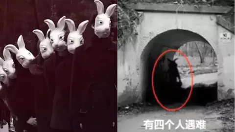 兔子人
