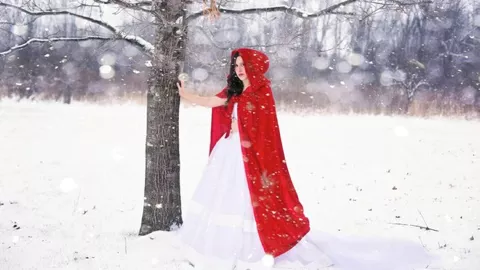 服务进出口