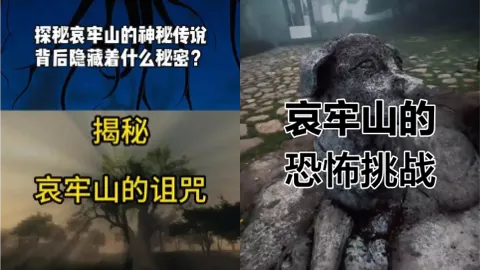 749揭秘