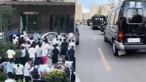 树拍易购