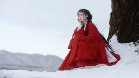 文化交流