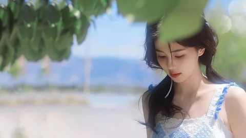 花灯滇剧