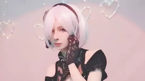 货运机型