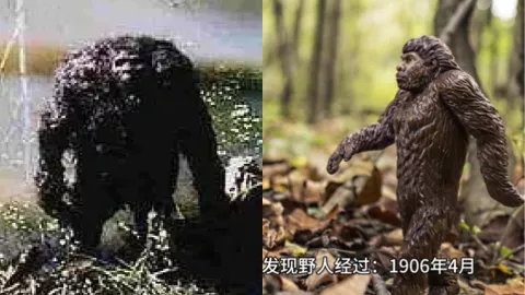准格尔