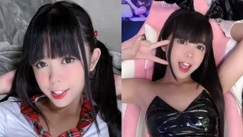 绯红小猫