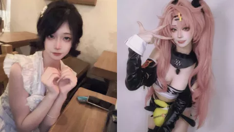 虎皮折耳猫
