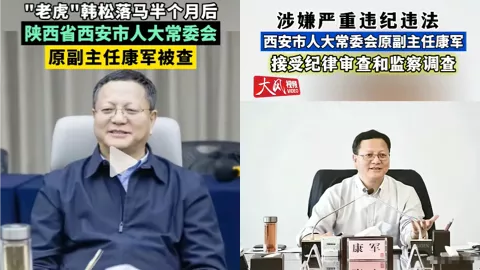 中央巡视组