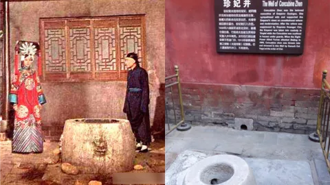 珍妃井