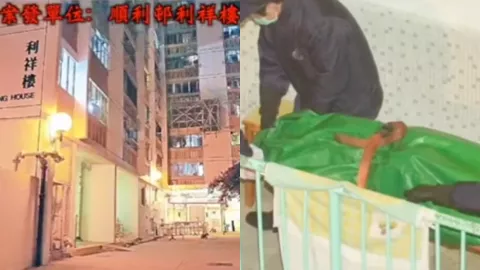 顺利邨