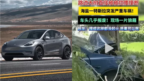 特斯拉
