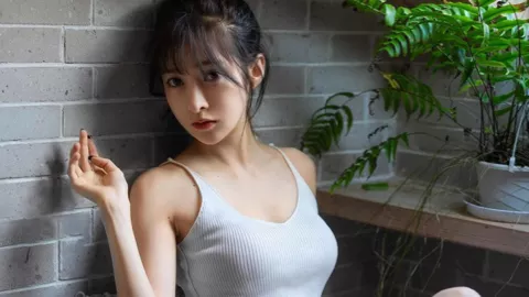 证券公司