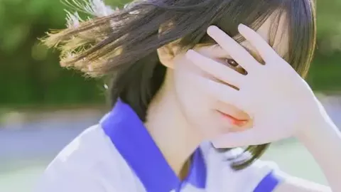 保险