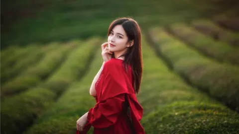 跑酷锦标赛