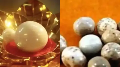 高僧火化