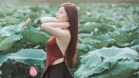 年轮抄袭