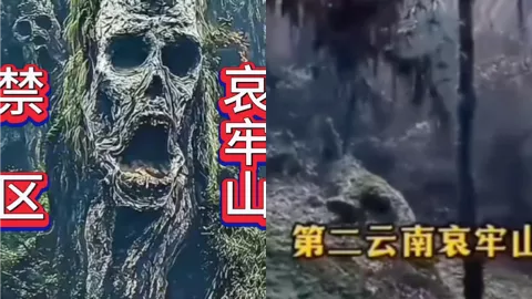 云南哀牢山