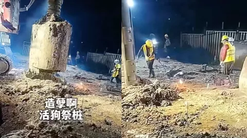 黑狗祭祀