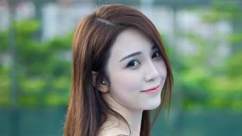 全民总动员