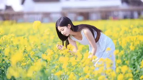 山东威海