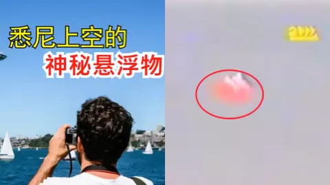 悉尼上空