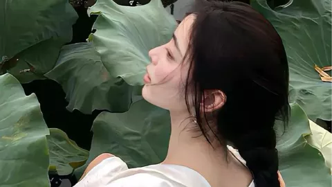 北方暖湿化