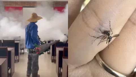 基孔肯雅热