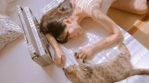 沈腾