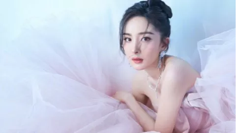 白鲨战队