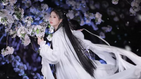 华南虎