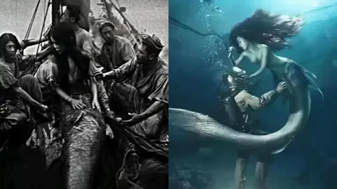 南海人鱼事件
