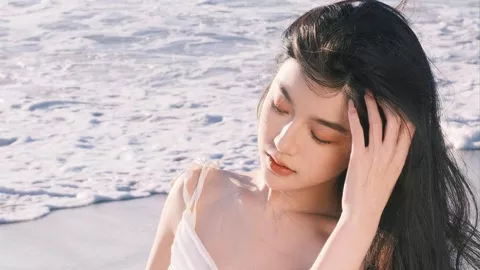 郎朗海报抄袭