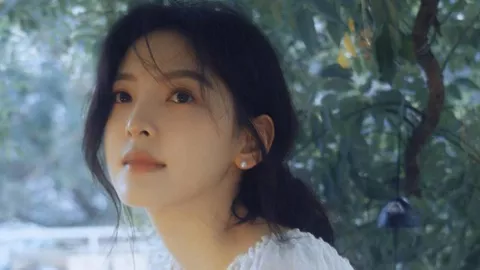 杨宗纬