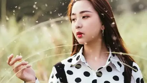 樊振东