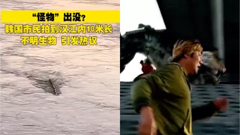 汉江怪物