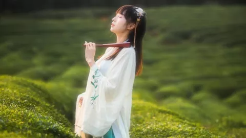 野生动物