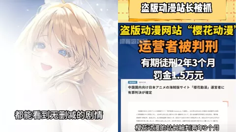 盗版动漫