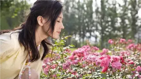 巴基斯坦总理