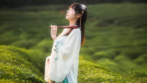 诗人战士