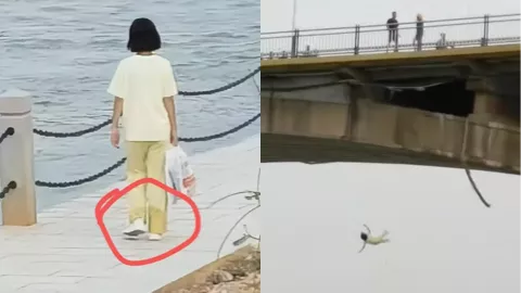 龙柯羽