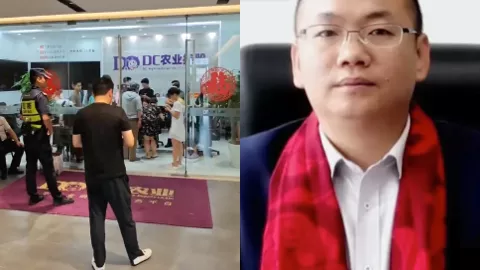 深圳点筹农业