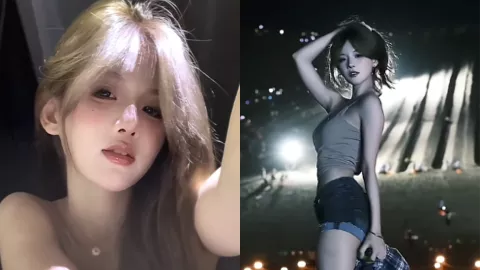 一个板栗栗