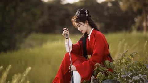 低空风洞