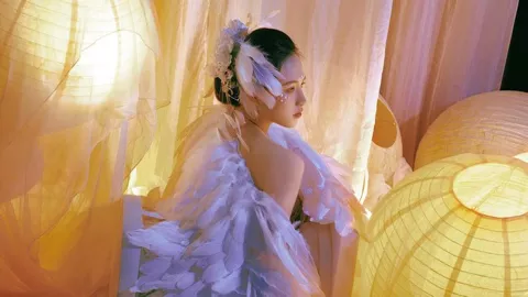 反诈老陈