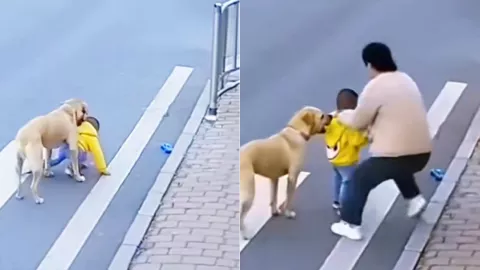 幼童突闯马路