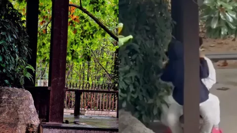 徐州技师学院凉亭情侣视频