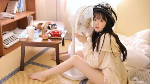 沈佳润登场