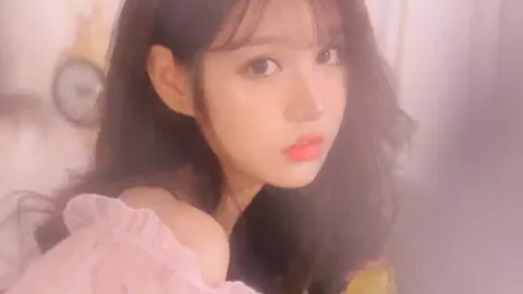 冰岛蚊子