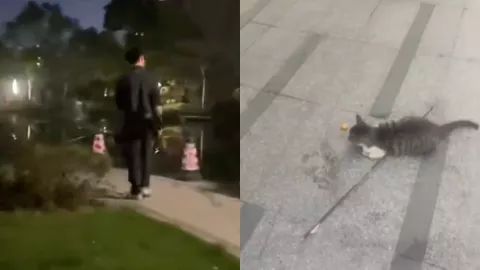 普宁帝景城